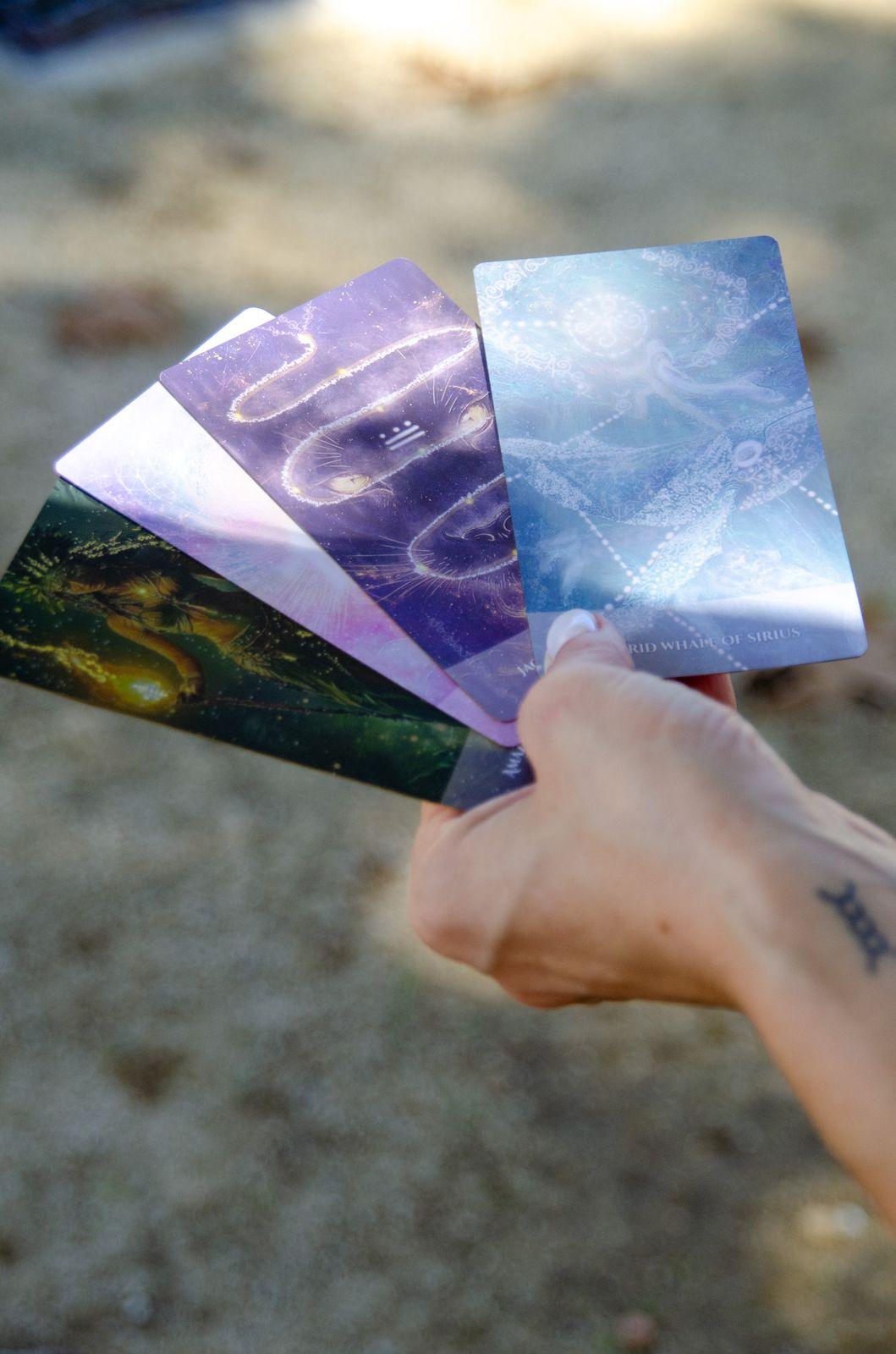 Anke holding four cards from the deck